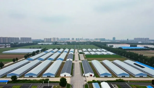 提升信息管理效率的关键操作与维护策略